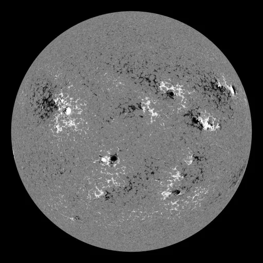 Solar Magnetic Fields