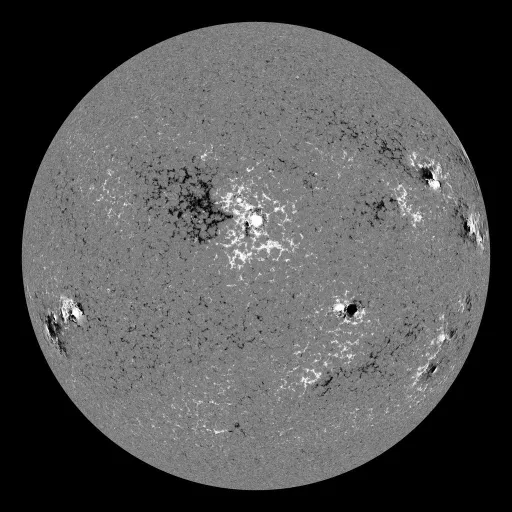 Solar Magnetic Fields