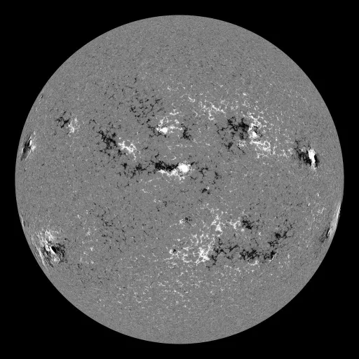 Solar Magnetic Fields