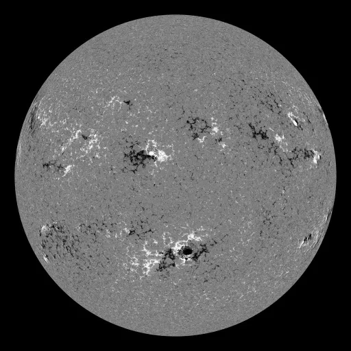 Solar Magnetic Fields