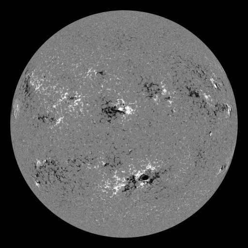 Solar Magnetic Fields