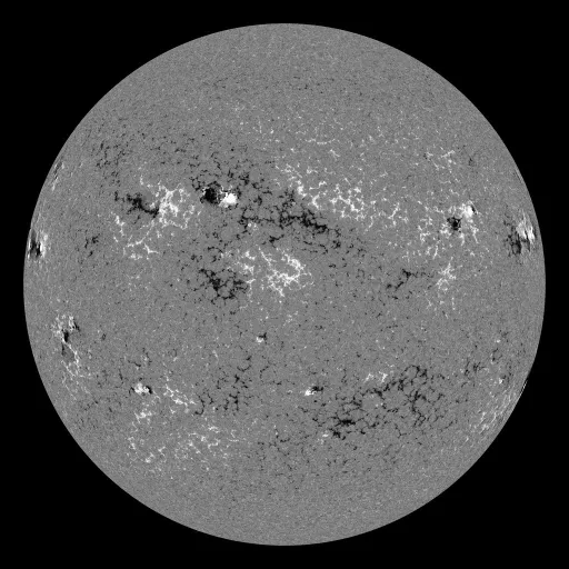 Solar Magnetic Fields