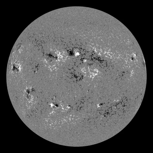 Solar Magnetic Fields