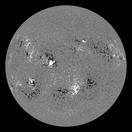 Solar Magnetic Fields