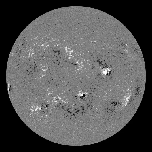 Solar Magnetic Fields