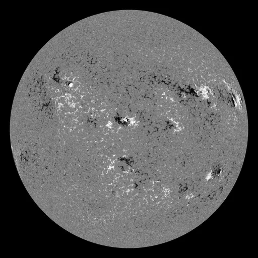 Solar Magnetic Fields
