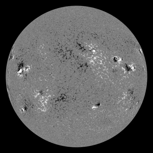 Solar Magnetic Fields