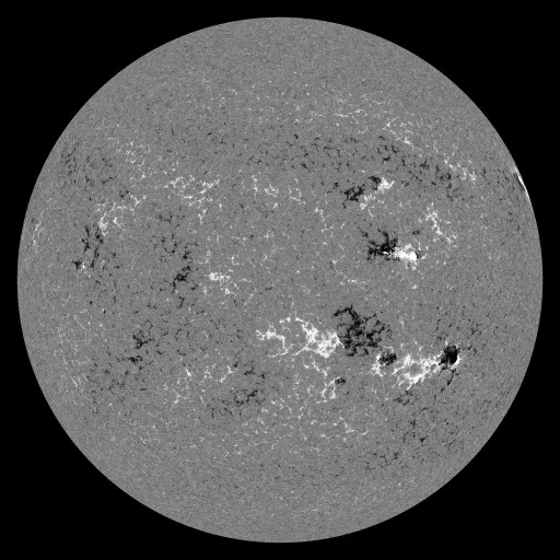 Solar Magnetic Fields