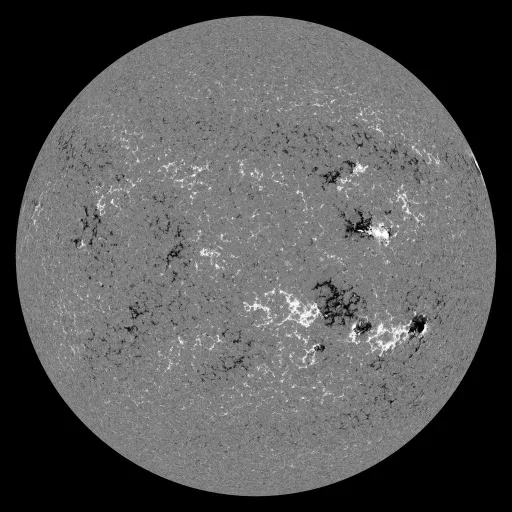 Solar Magnetic Fields