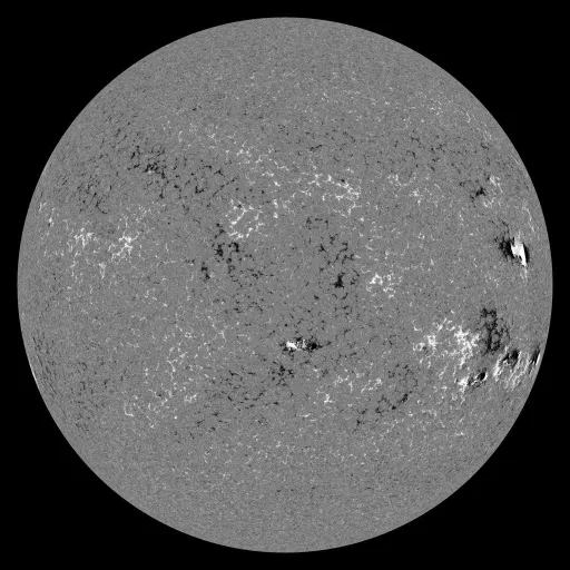 Solar Magnetic Fields