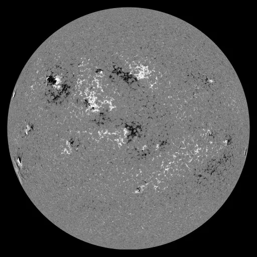 Solar Magnetic Fields