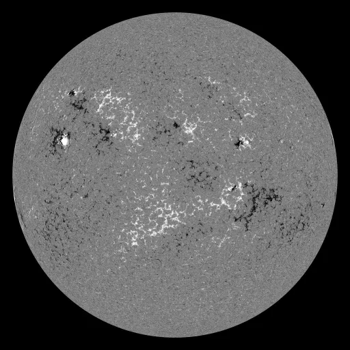 Solar Magnetic Fields