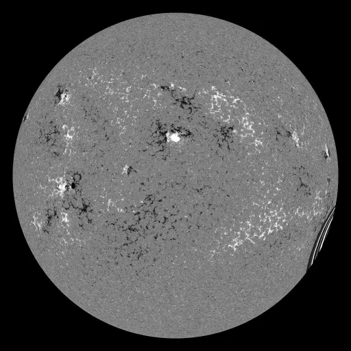 Solar Magnetic Fields