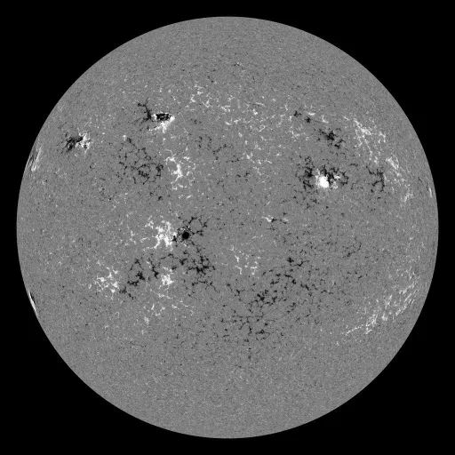 Solar Magnetic Fields