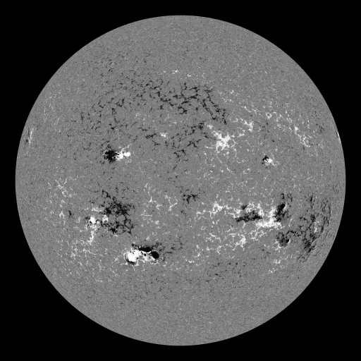 Solar Magnetic Fields