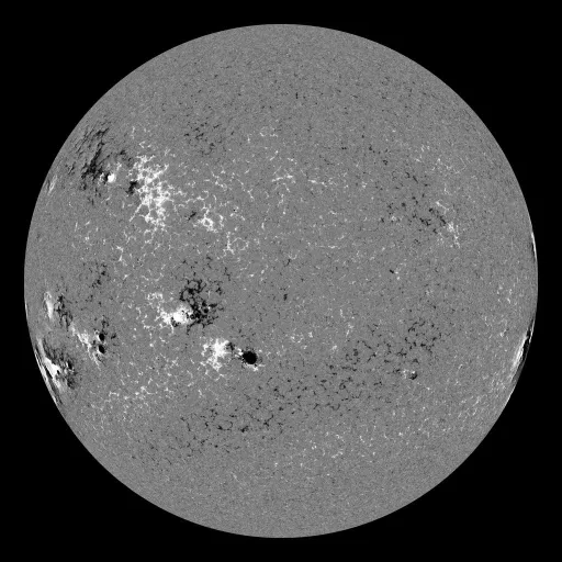 Solar Magnetic Fields