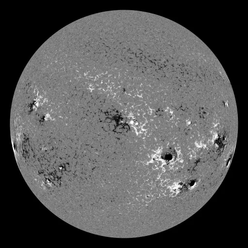 Solar Magnetic Fields
