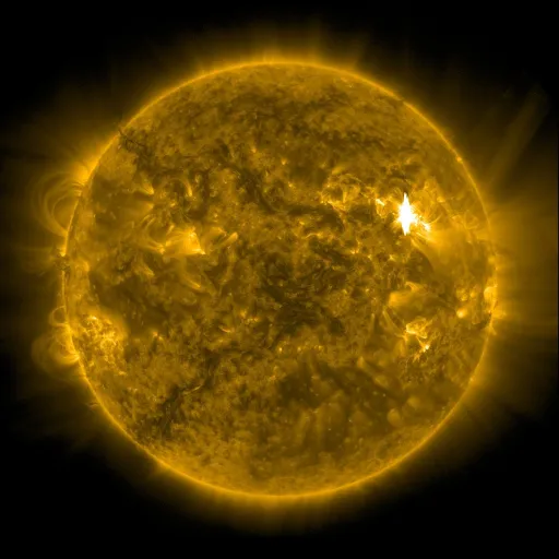 Solar Corona