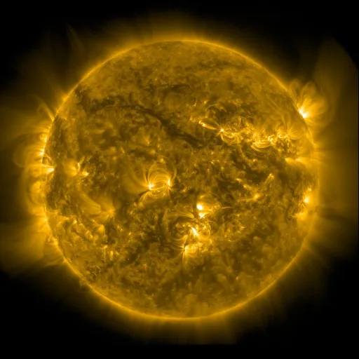 Solar Corona