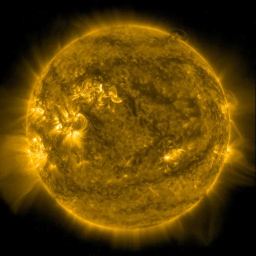 Solar Corona