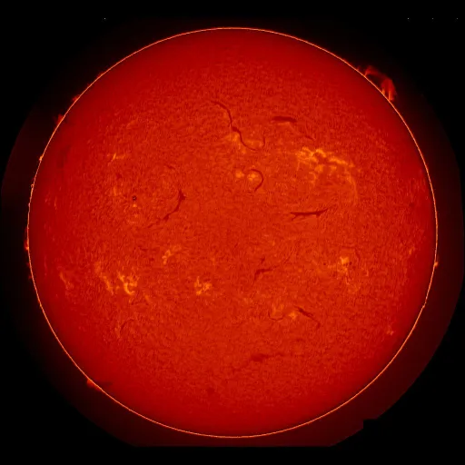 Solar Chromosphere