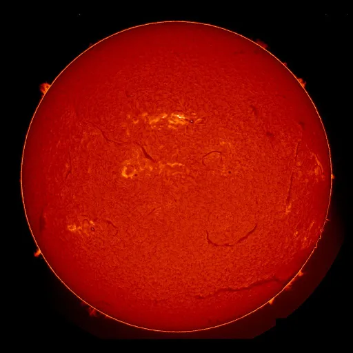 Solar Chromosphere