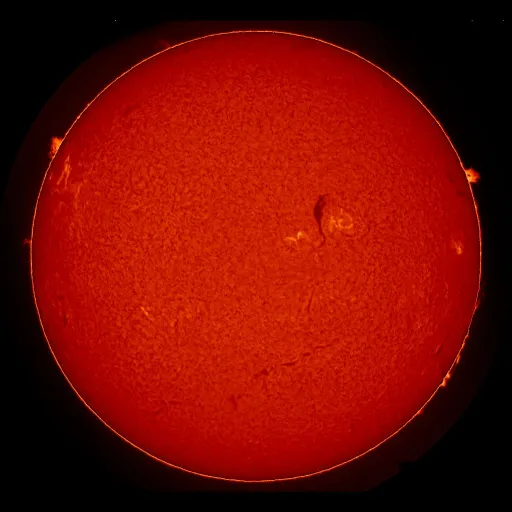 Solar Chromosphere
