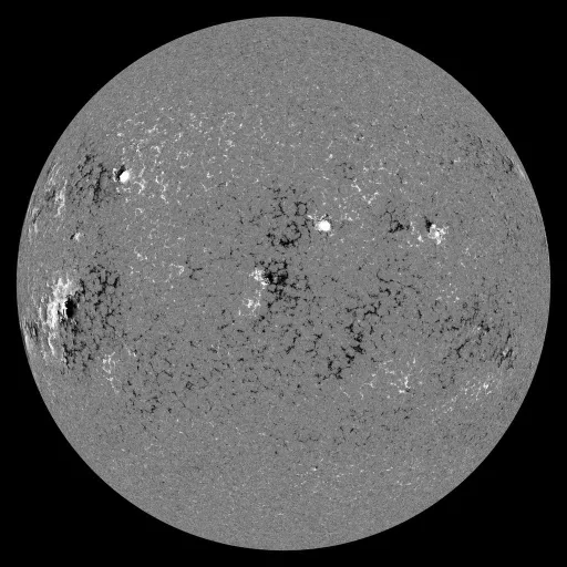 Solar Magnetic Fields