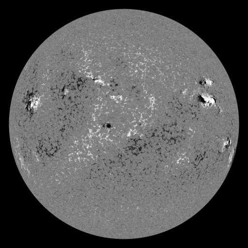 Solar Magnetic Fields