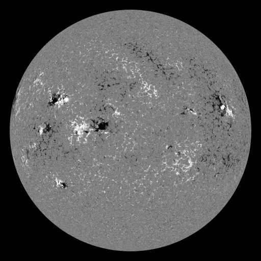 Solar Magnetic Fields