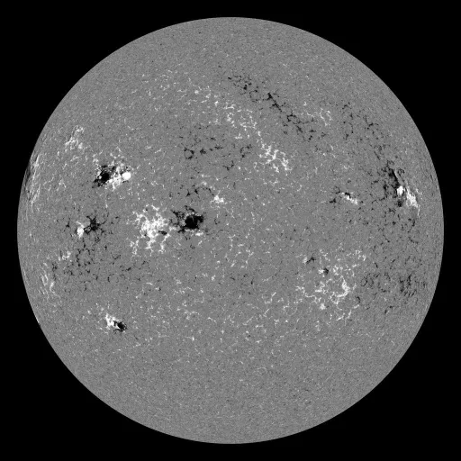 Solar Magnetic Fields