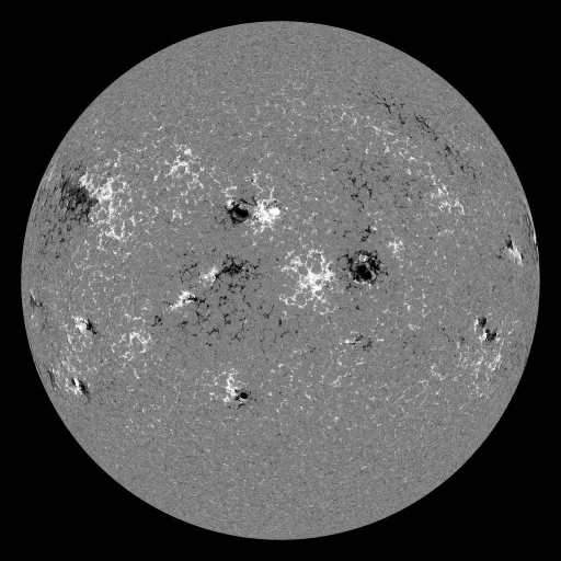 Solar Magnetic Fields