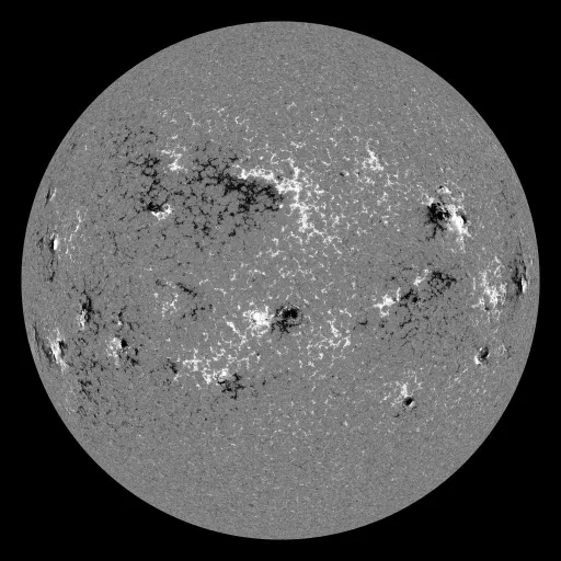 Solar Magnetic Fields