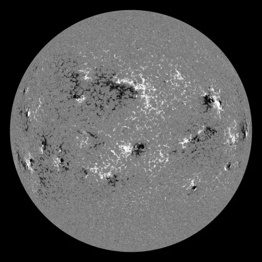 Solar Magnetic Fields