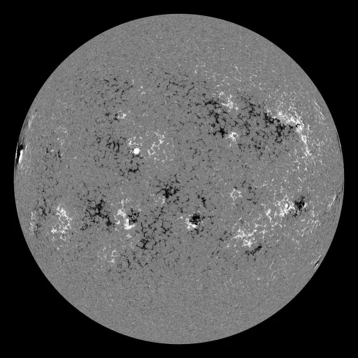 Solar Magnetic Fields