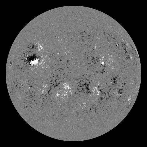 Solar Magnetic Fields