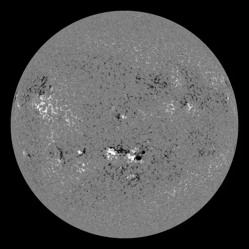 Solar Magnetic Fields