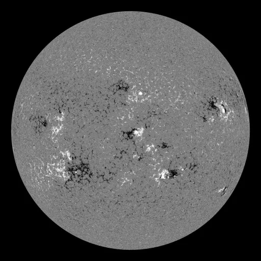 Solar Magnetic Fields