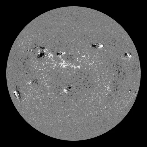 Solar Magnetic Fields