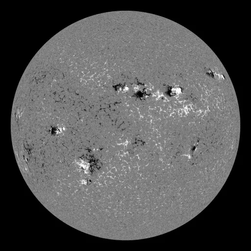 Solar Magnetic Fields