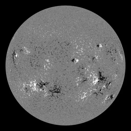 Solar Magnetic Fields