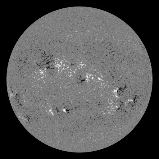 Solar Magnetic Fields