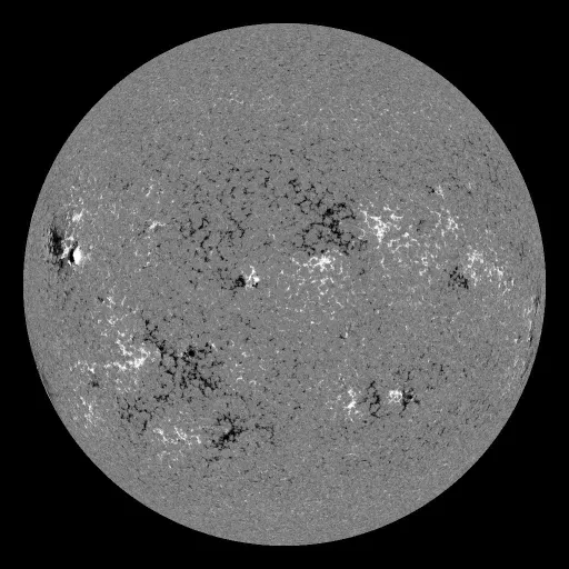 Solar Magnetic Fields