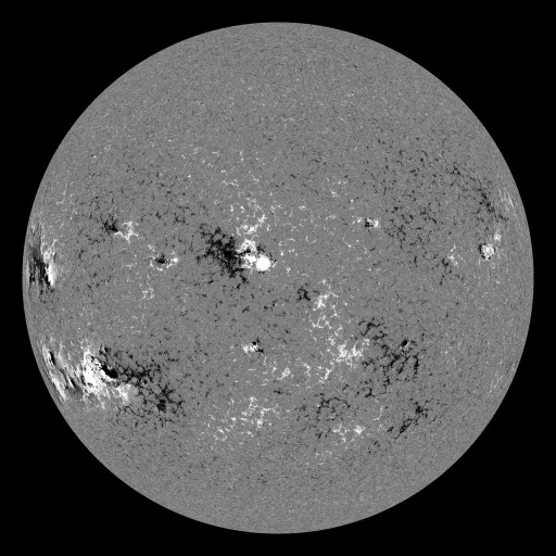 Solar Magnetic Fields