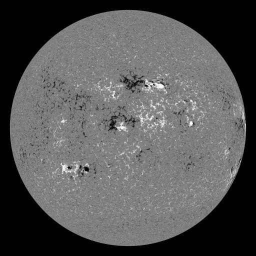 Solar Magnetic Fields