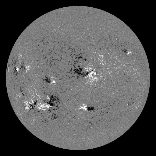 Solar Magnetic Fields