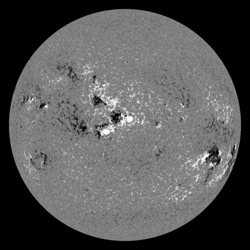 Solar Magnetic Fields