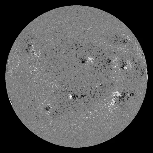 Solar Magnetic Fields
