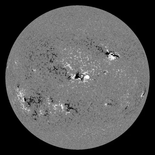 Solar Magnetic Fields