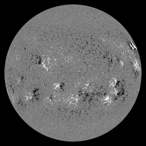Solar Magnetic Fields